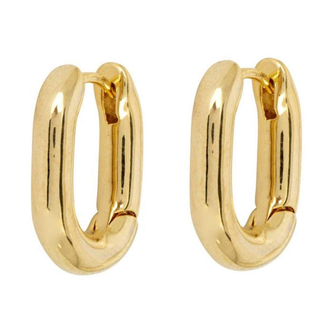 Coco Gold Earrings Ashiana